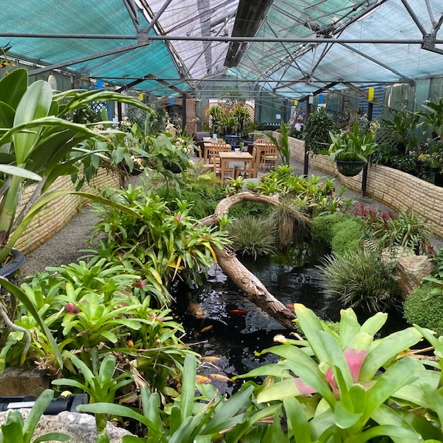 Orchid Paradise Photo 2021